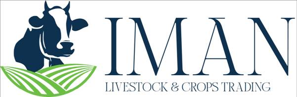 ImanTrading-Logo.jpeg